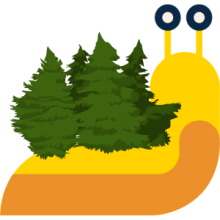 Slug with redwoods