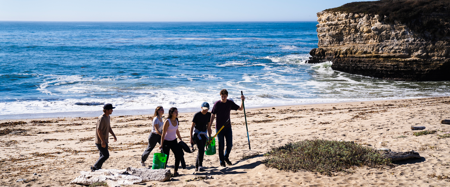 Environmental Sciences