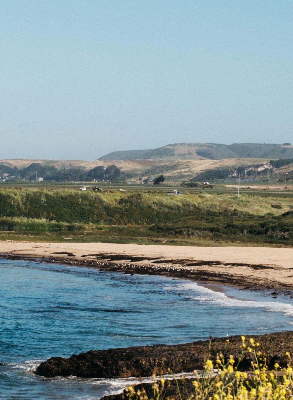 Sustainability Studies