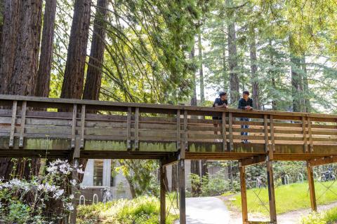 Hahn Student Service Bridge