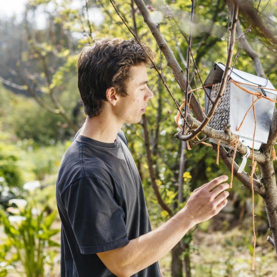 Student in chadwick garden