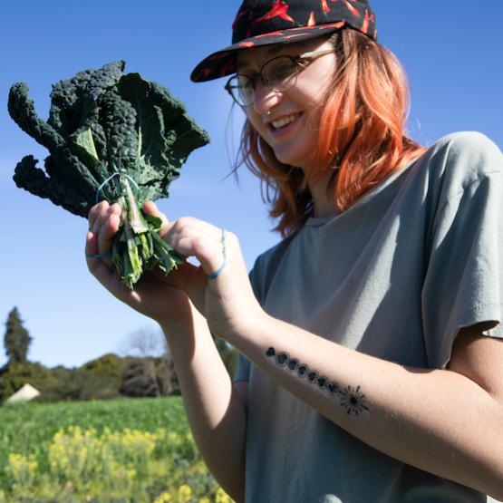 Student on a field examining a bunch of chard