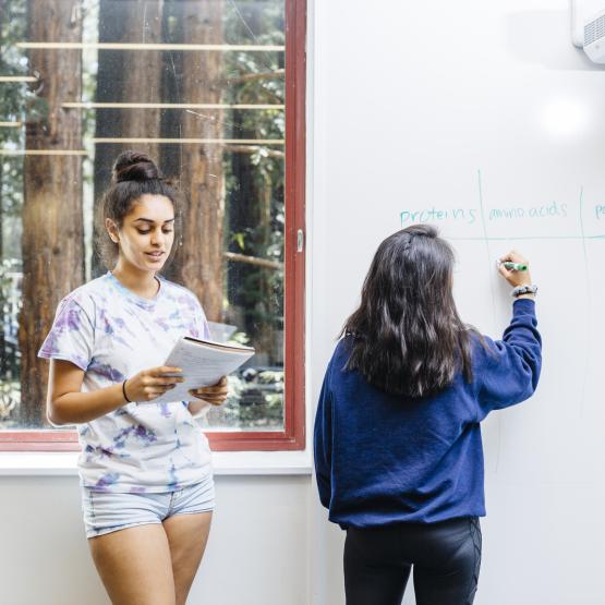 Students studying