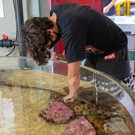 Mag-aaral sa isang touch tank sa Seymour Marine Center