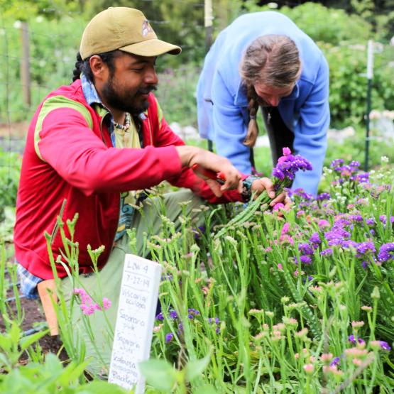 Studenti che lavorano nel giardino delle piante