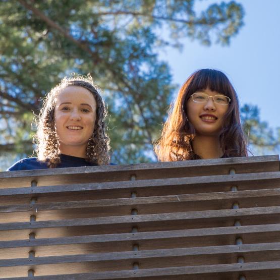 Studenten schauen von einer Brücke nach unten